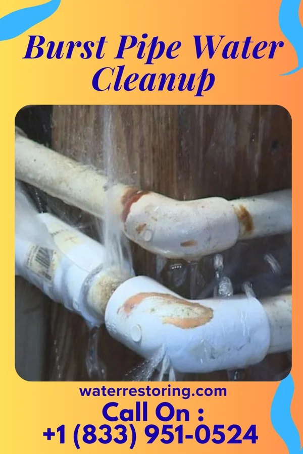 Burst Pipe Water Cleanup in Littlestown, PA