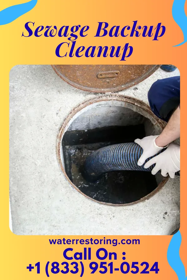 Sewage Backup Cleanup in Littlestown, PA